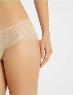 Panache Envy Stretch-lace Briefs -Reisi Clothing Shop 218 3003630 7282NUDE NUDE ALT04