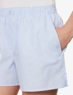 Shay Striped Cotton Shorts -Reisi Clothing Shop R04183728 DUSTYBLUWHTSTRIPE ALT04